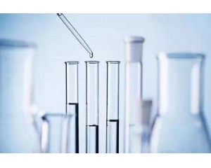 REACH197项报告哪里可以申请?